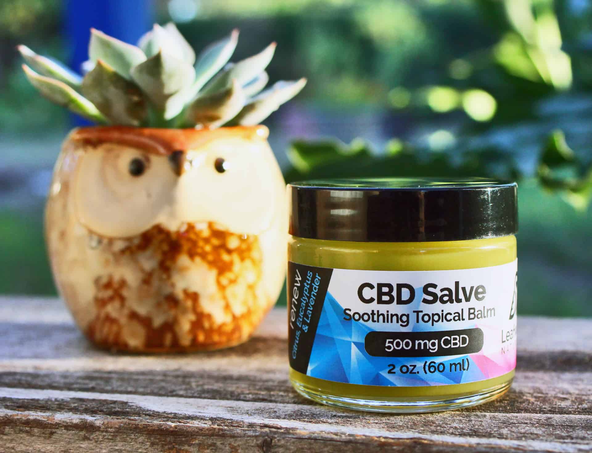 Whole Plant Hemp CBD Salve - 500mg | Leafwize Naturals