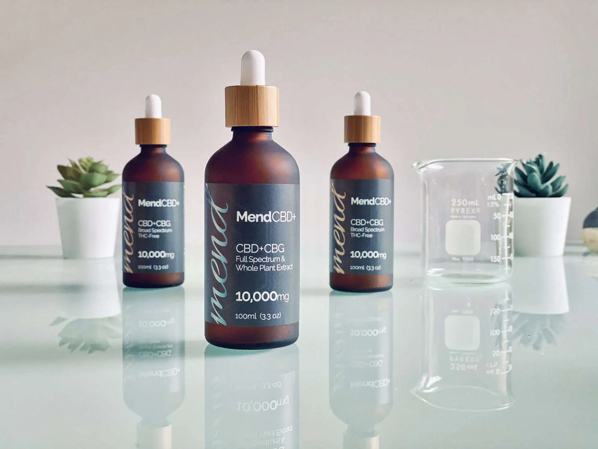 Mend Full Spectrum CBD+CBG Tincture | Leafwize Naturals