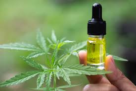 How to Get The Best Results from CBD