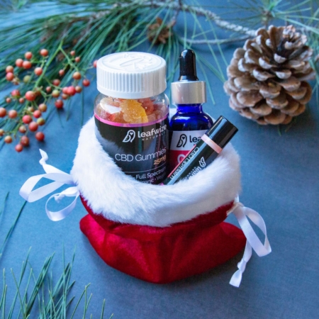 Gift Idea CBD Gift Bag Christmas